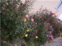 19ac06cf-Picture 6584.jpg